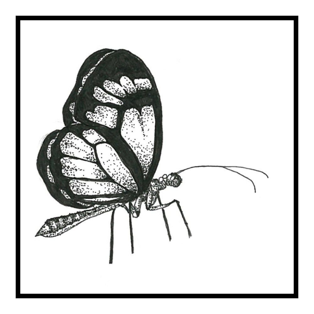 マスキングテープ 虫達 Sy×w