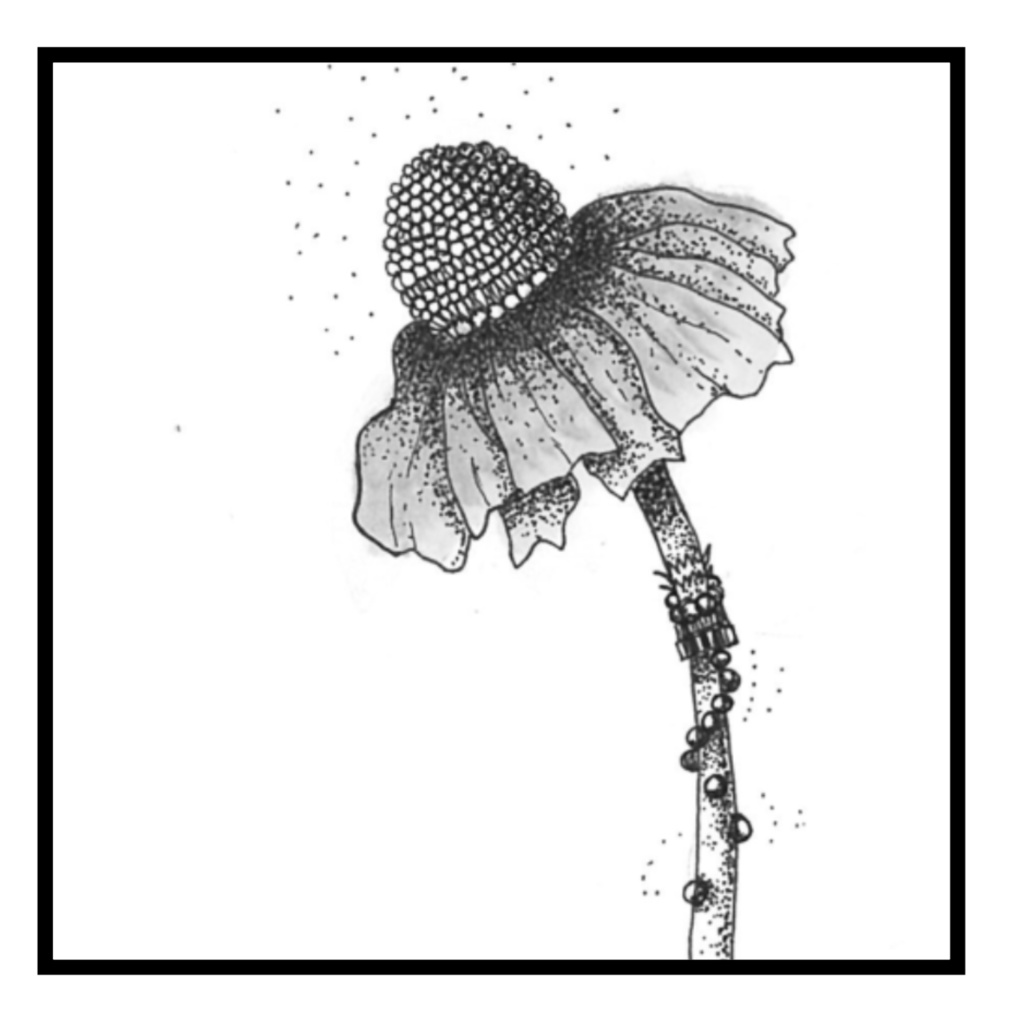 マスキングテープ 虫達 Sy×w