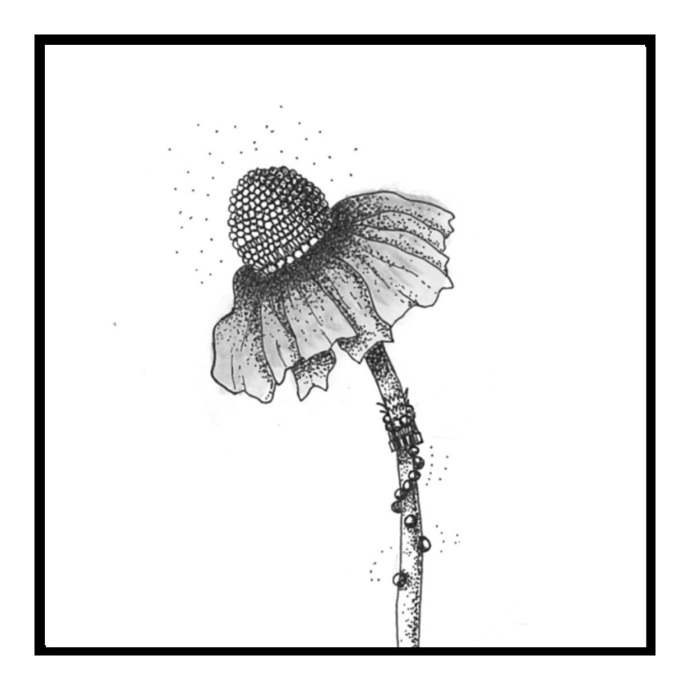 マスキングテープ 虫達 Dy×w