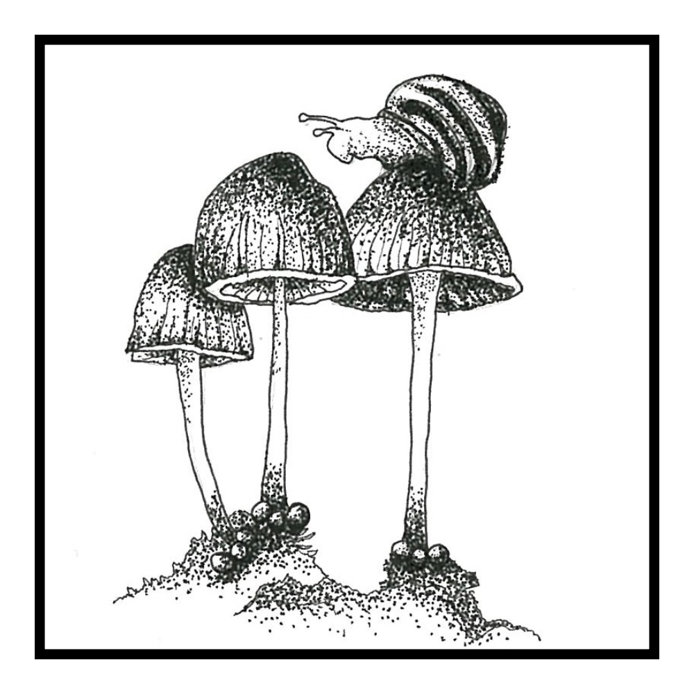 マスキングテープ 虫達 Dy×w