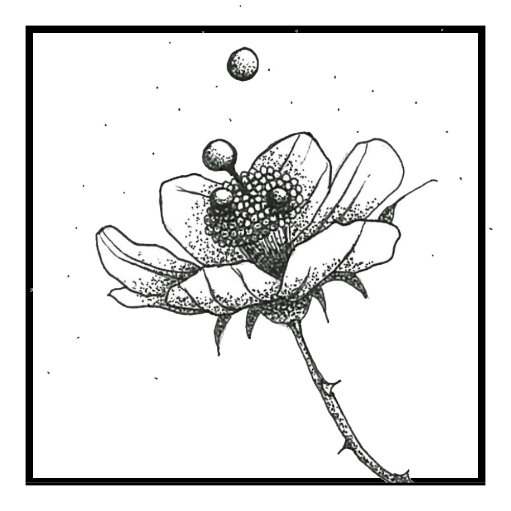 マスキングテープ 虫達 Dy×w