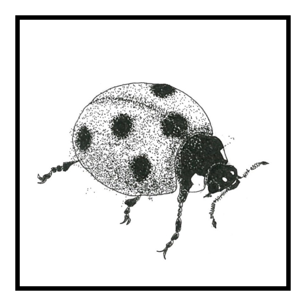 マスキングテープ 虫達 Dp×w