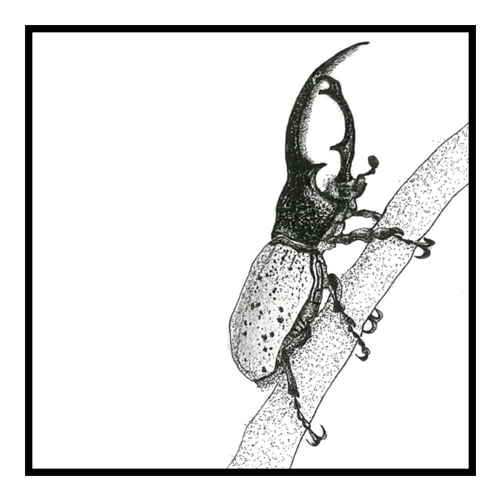 マスキングテープ 虫達 Dp×w