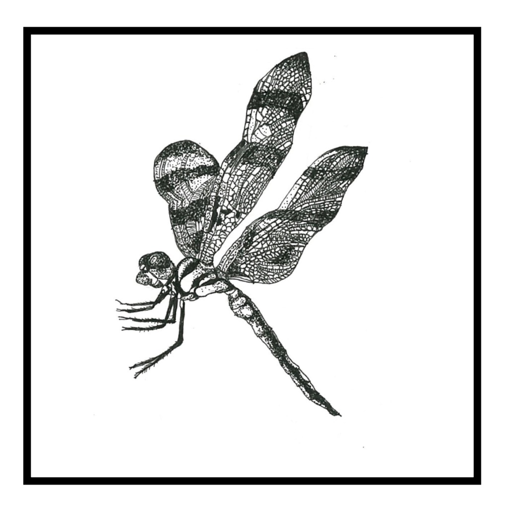 マスキングテープ 虫達