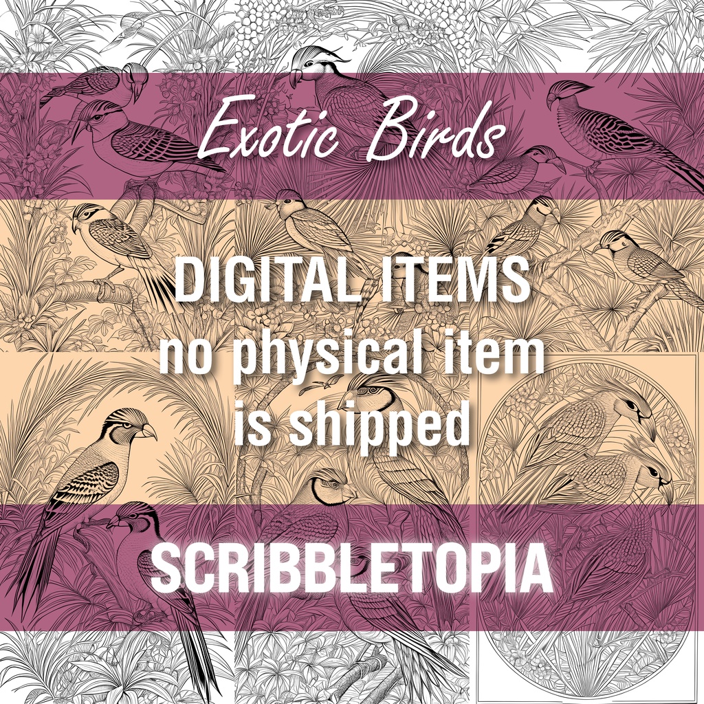 鳥の塗り絵 Birds Coloring Book