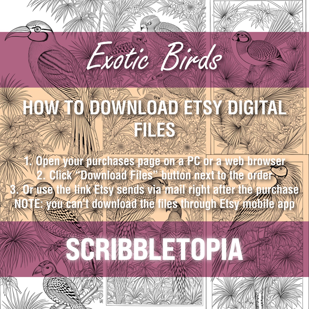 鳥の塗り絵 Birds Coloring Book