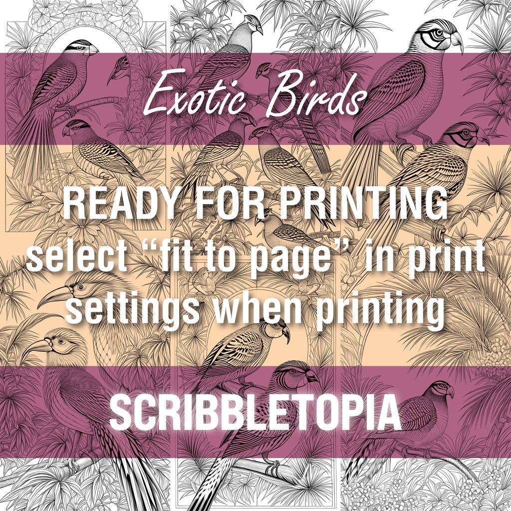 鳥の塗り絵 Birds Coloring Book