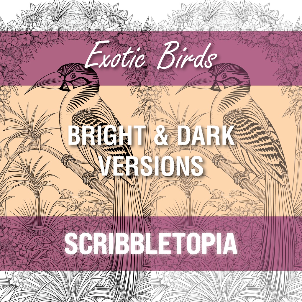 鳥の塗り絵 Birds Coloring Book