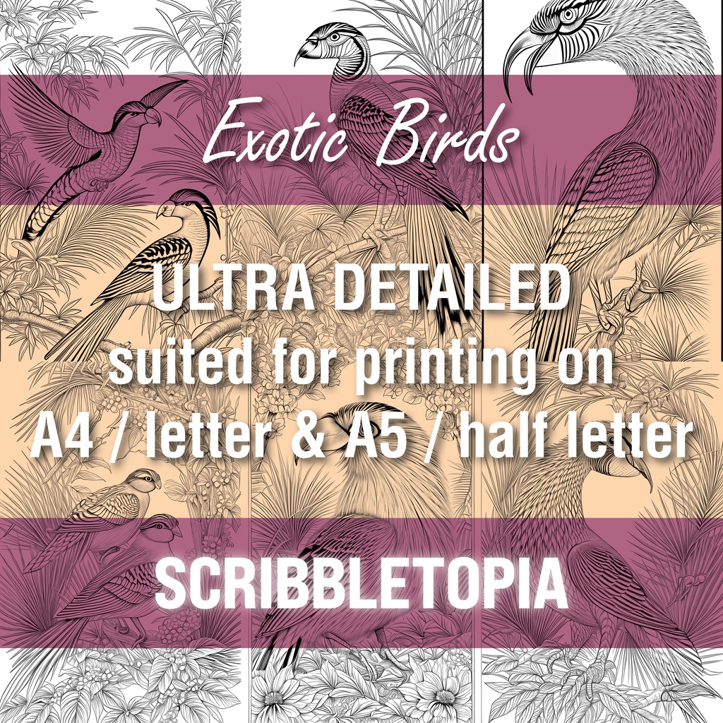 鳥の塗り絵 Birds Coloring Book