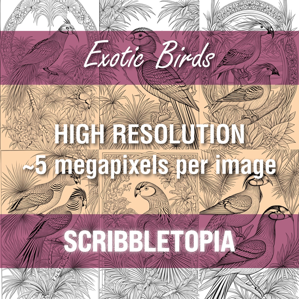 鳥の塗り絵 Birds Coloring Book