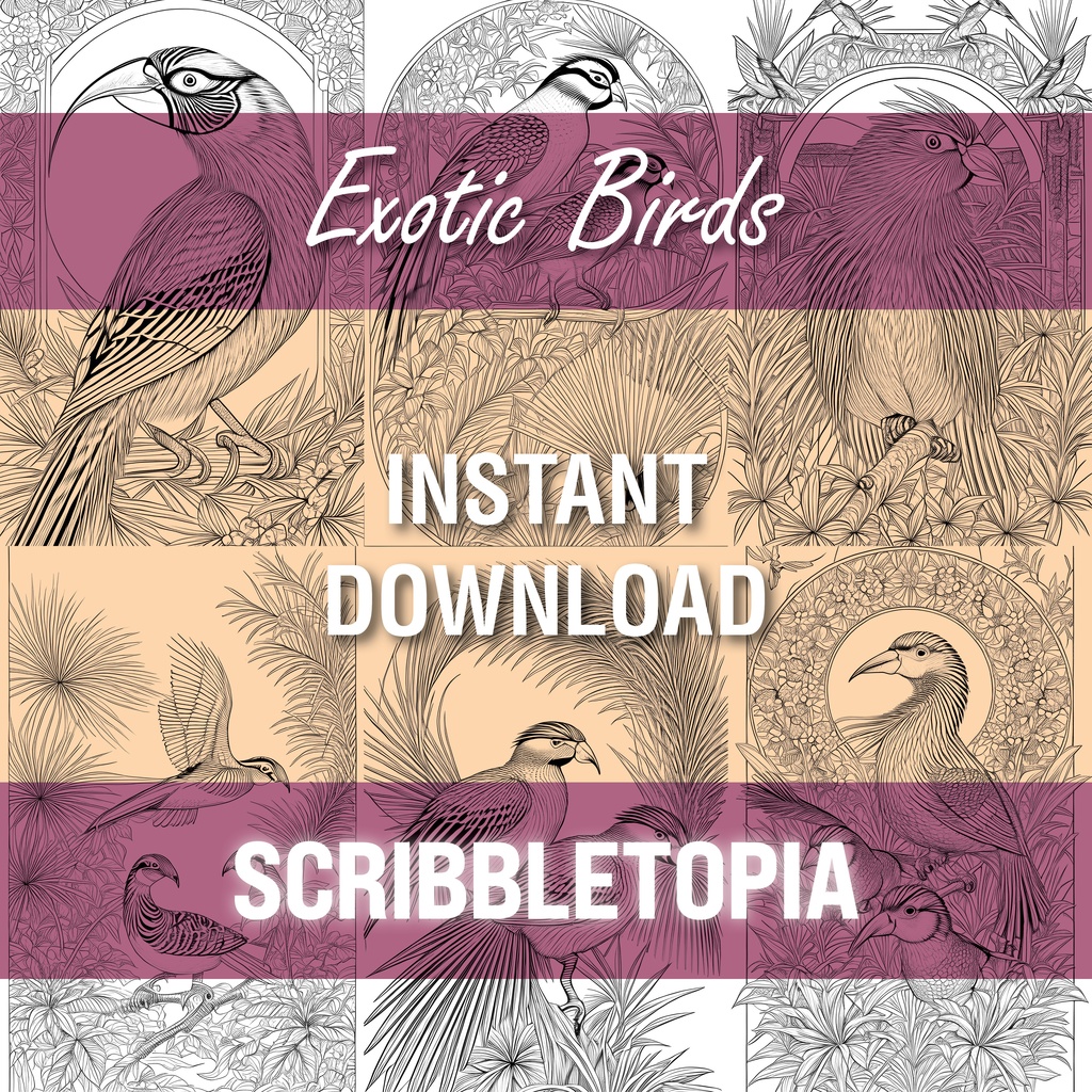 鳥の塗り絵 Birds Coloring Book