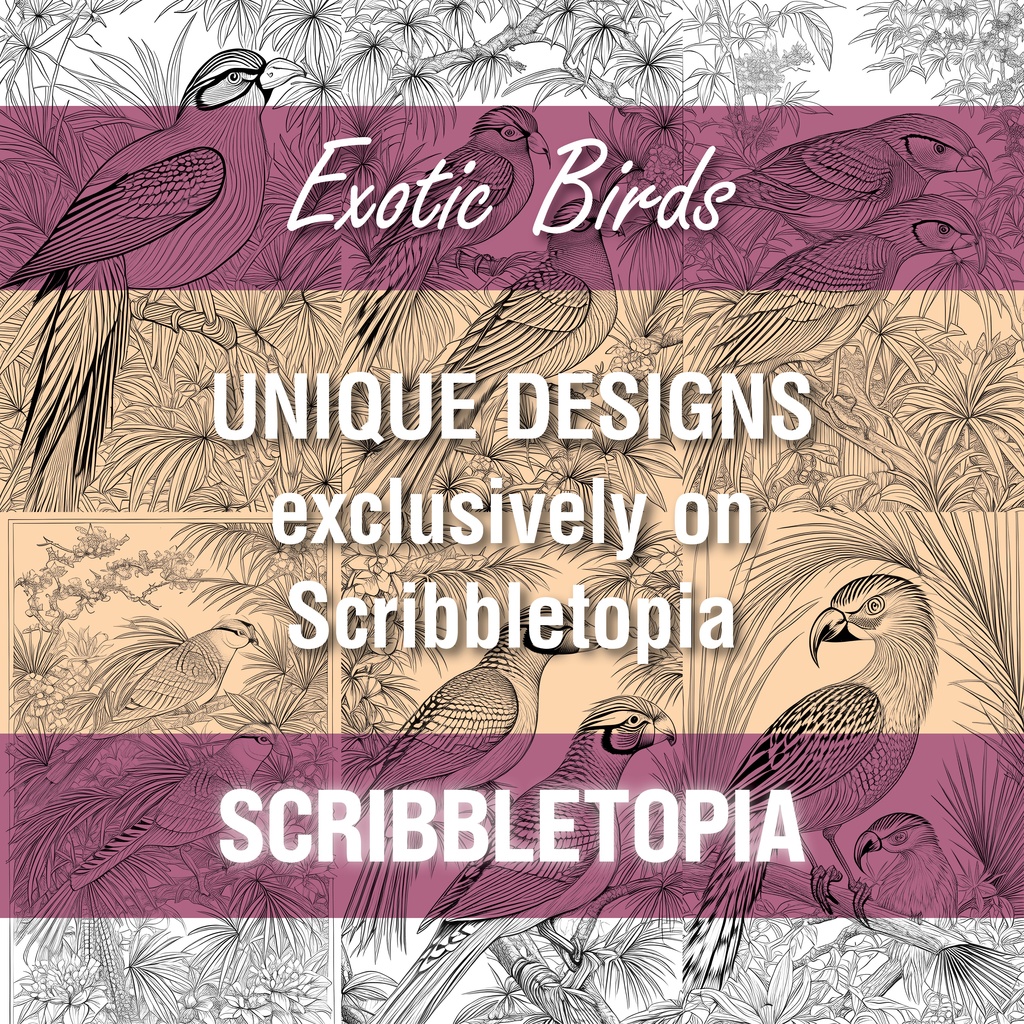 鳥の塗り絵 Birds Coloring Book