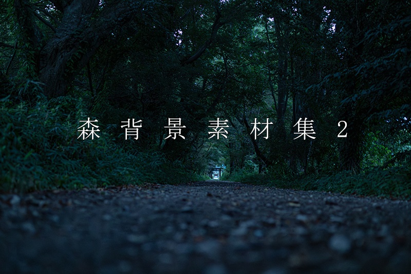 森背景素材集2