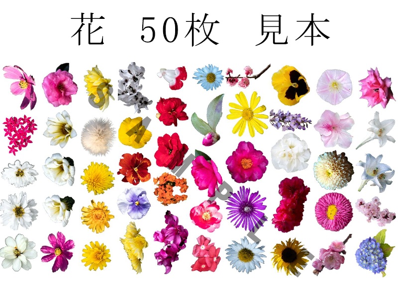 花素材集2