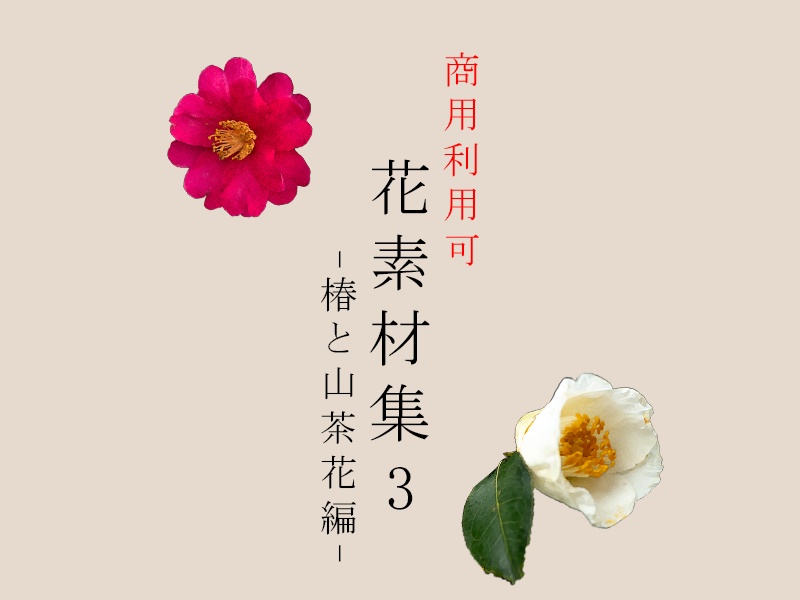 花素材集3　-椿と山茶花編-