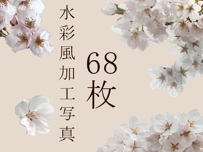 花素材集4 -桜編-