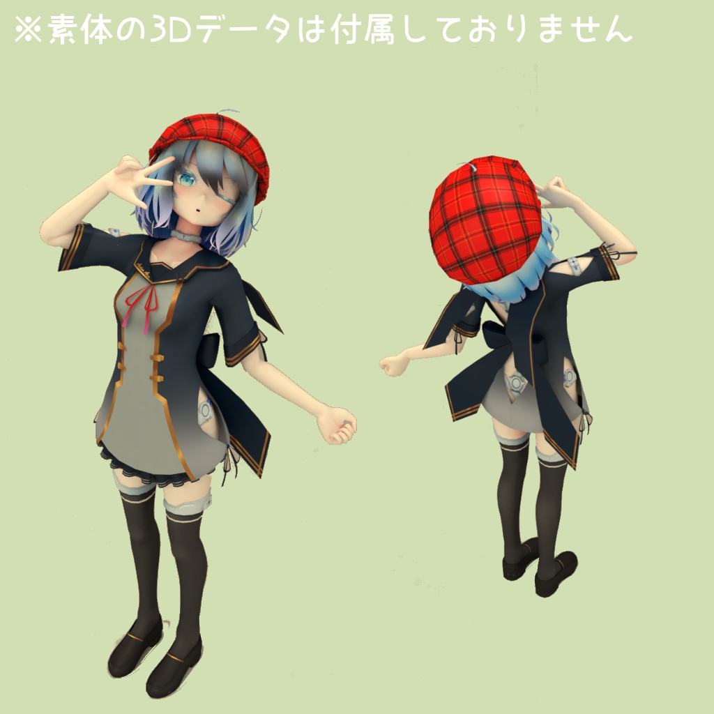 I-s用キャスケット