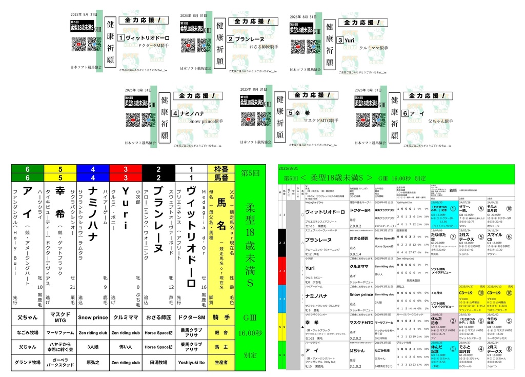第5回<柔型18歳未満S>ばけん(枠表・馬柱・見せびらかし用付)(9/30まで)