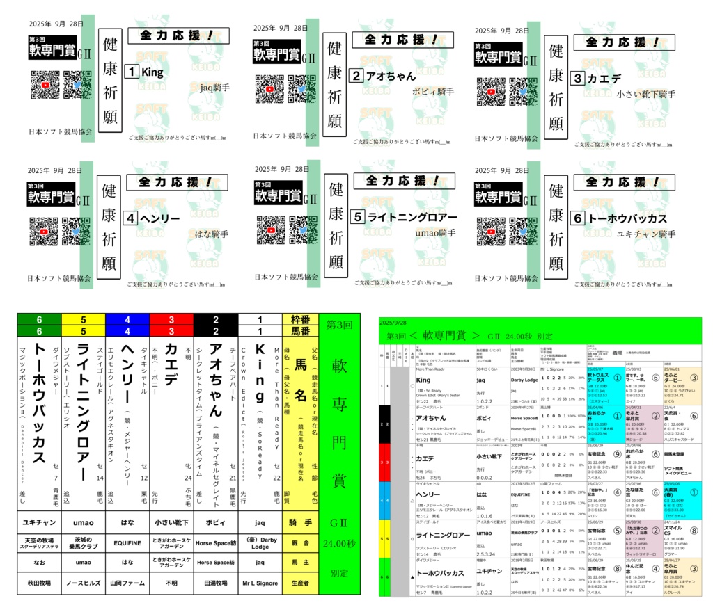 ハルウララメモリアル・第3回＜軟専門賞＞ばけん（枠表・馬柱・見せびらかし用付）（10/31まで）