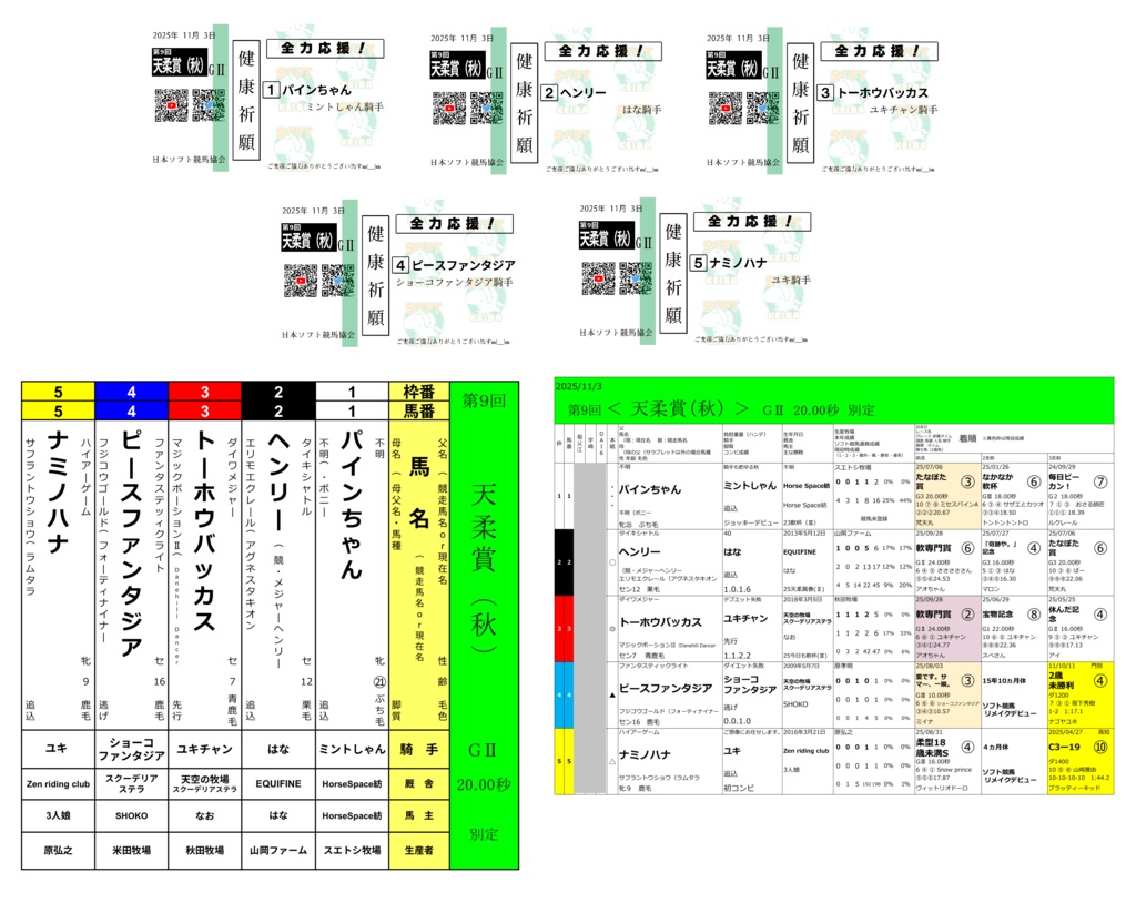 第9回<天柔賞(秋)>ばけん(枠表・馬柱・見せびらかし用付)(11/30まで)