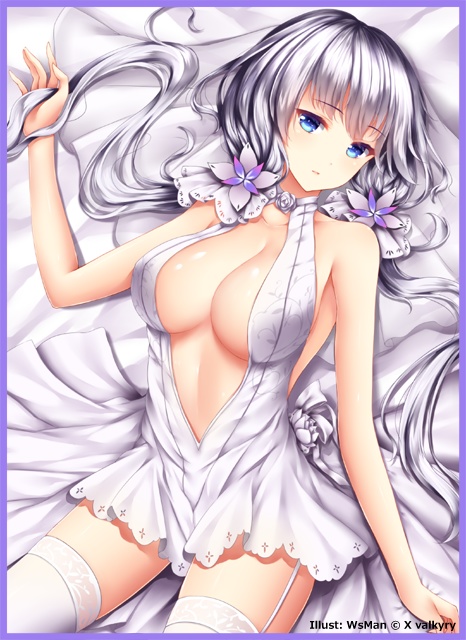 「イラストリアス」カードスリーブ