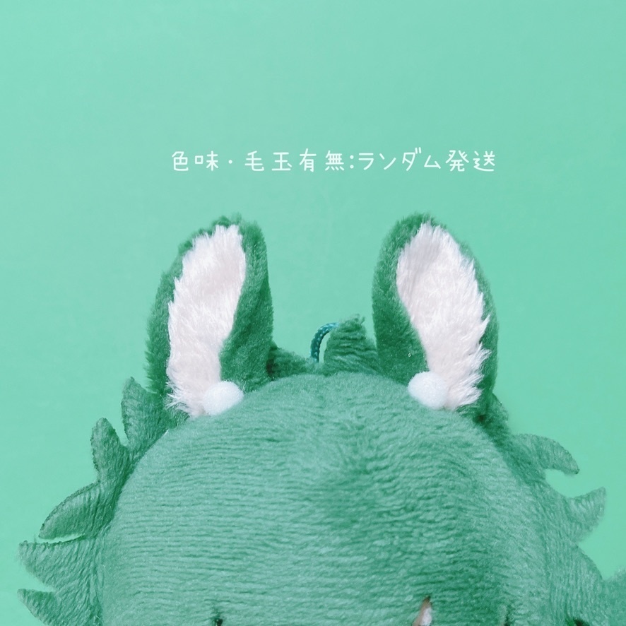 ケモミミ🟢🐰【🎃🍬ポーチ付き】