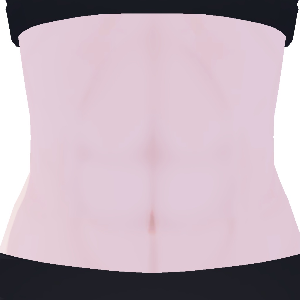 Lapwing腹筋テクスチャ