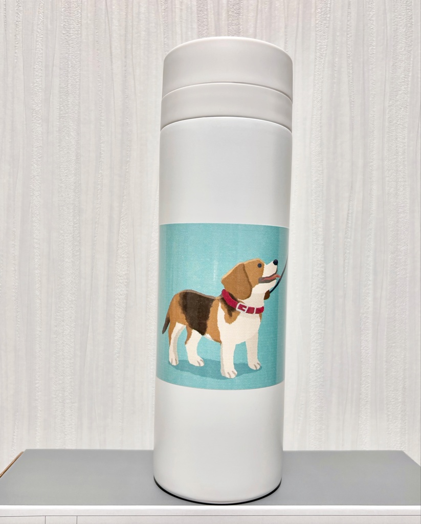 ステンレスボトル