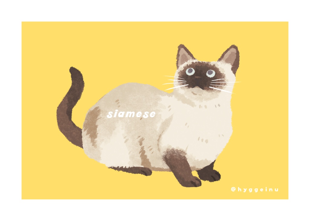 ポストカード【シャム猫】