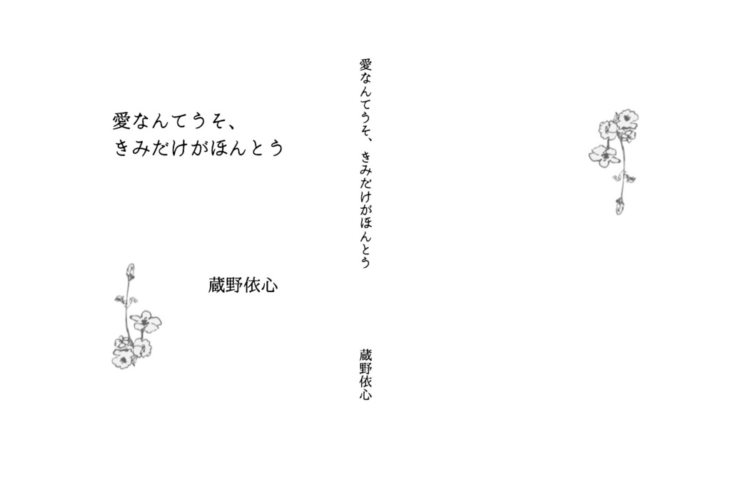 愛なんてうそ、きみだけがほんとう