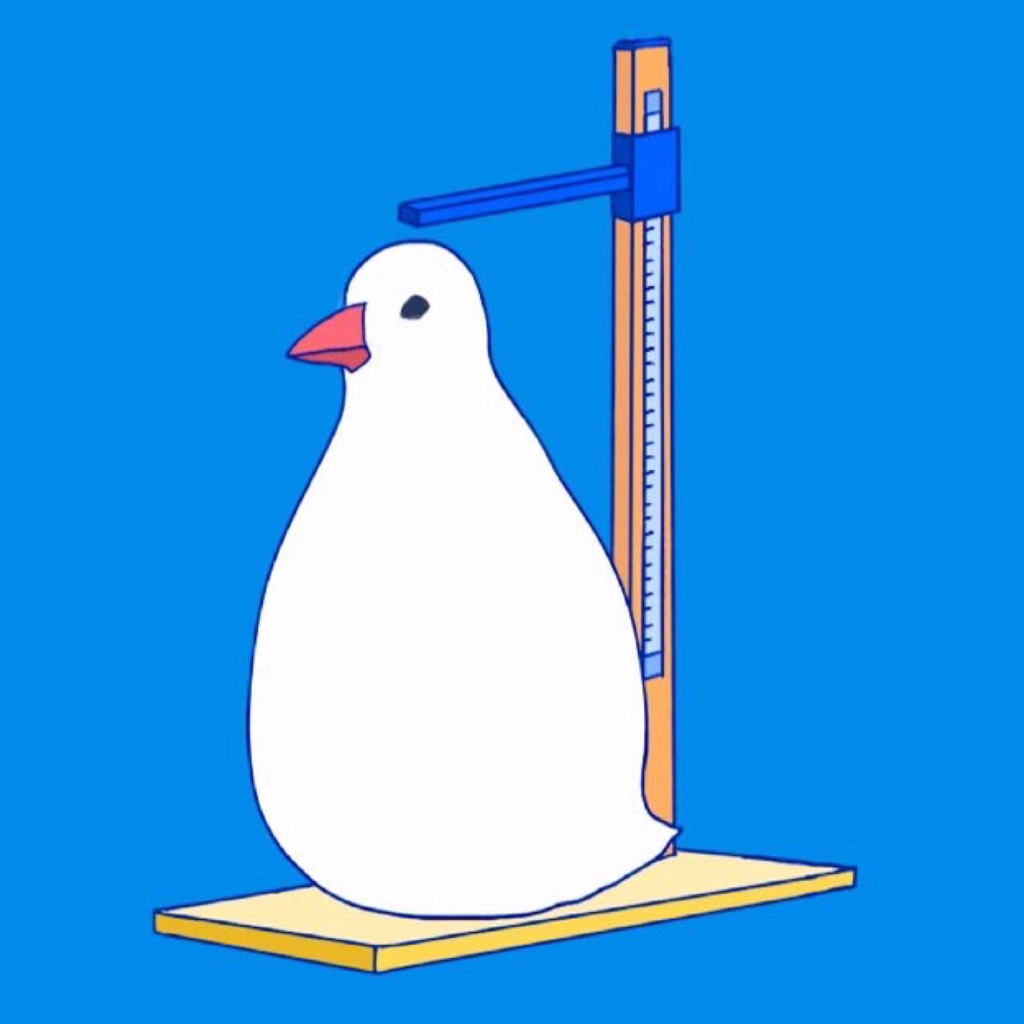 身長を測る文鳥