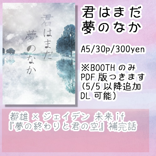 君はまだ夢のなか