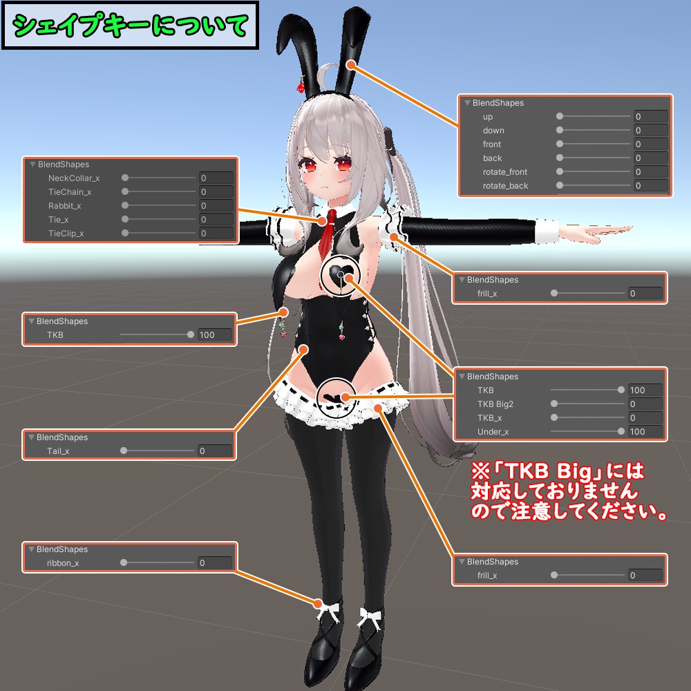 【舞夜用】バニースーツ