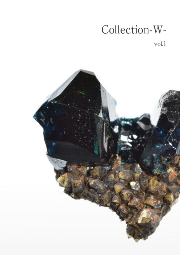 フォトブック「Collection-W- vol.1」