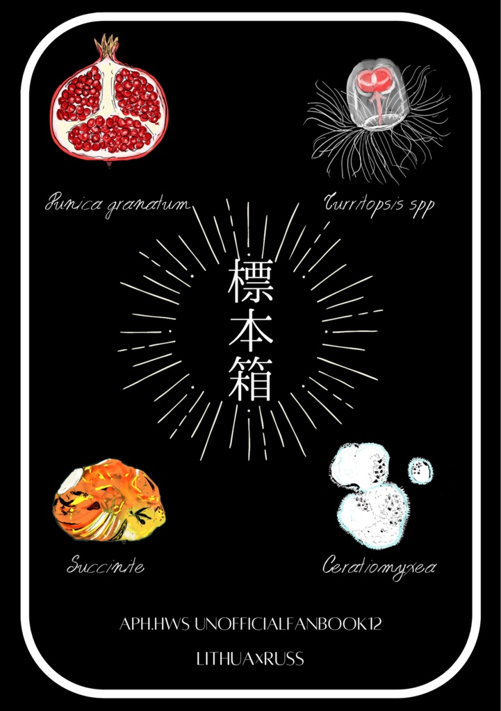標本箱