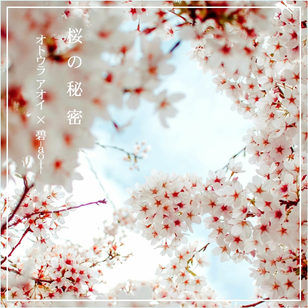 桜の秘密