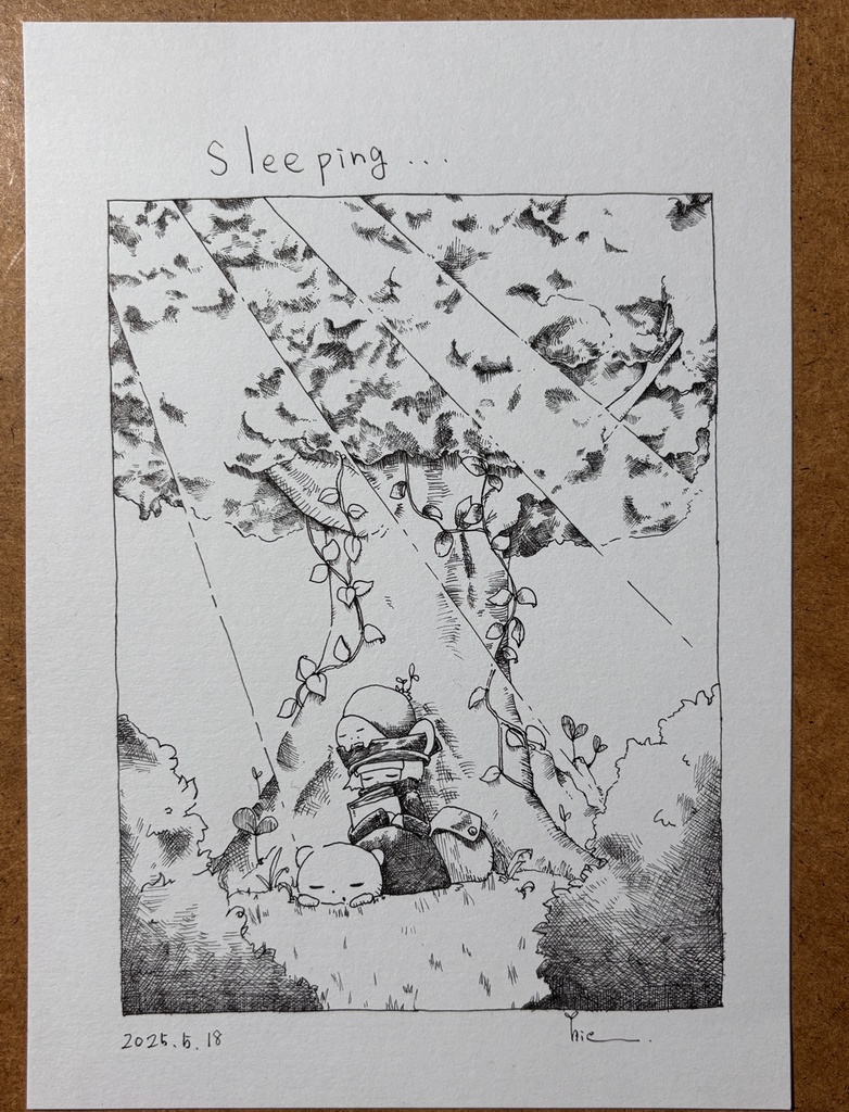 木漏れ日の休息