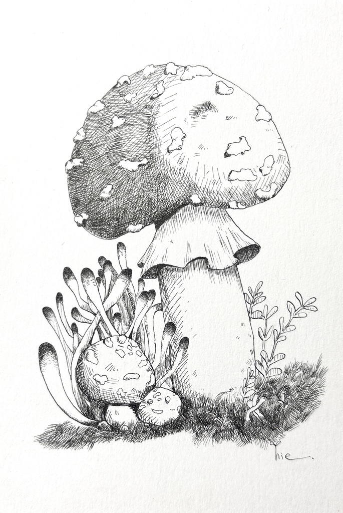 【ペン画】きのこ_01【ハガキサイズ】