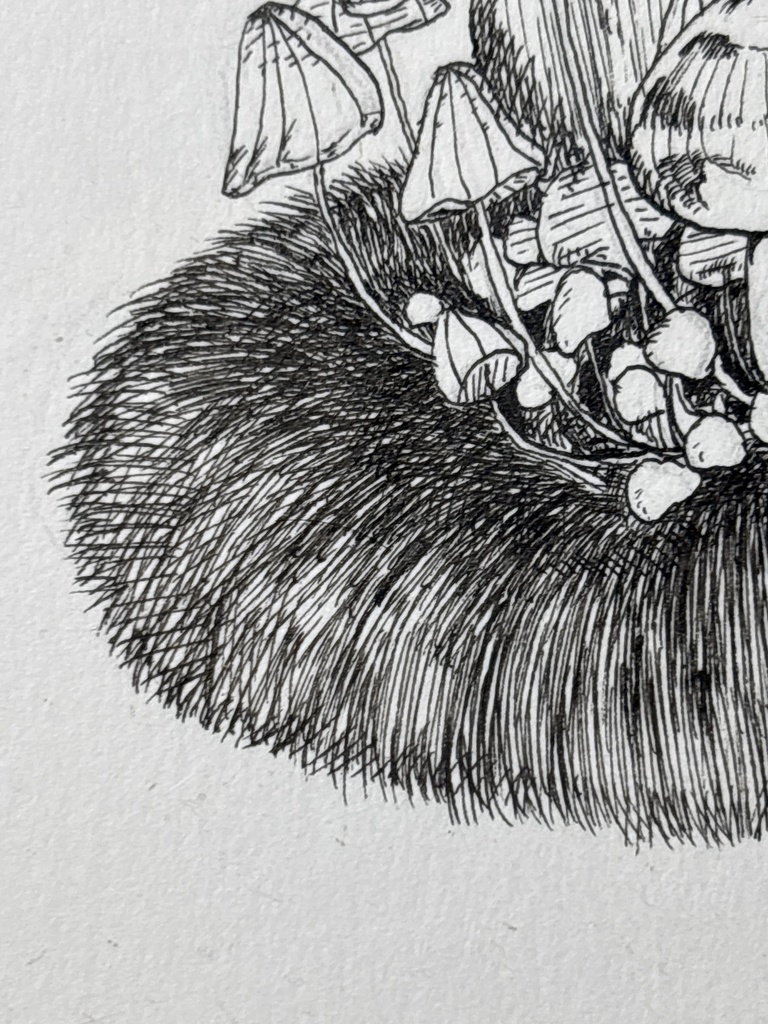 【ペン画】きのこ_02【ハガキサイズ】