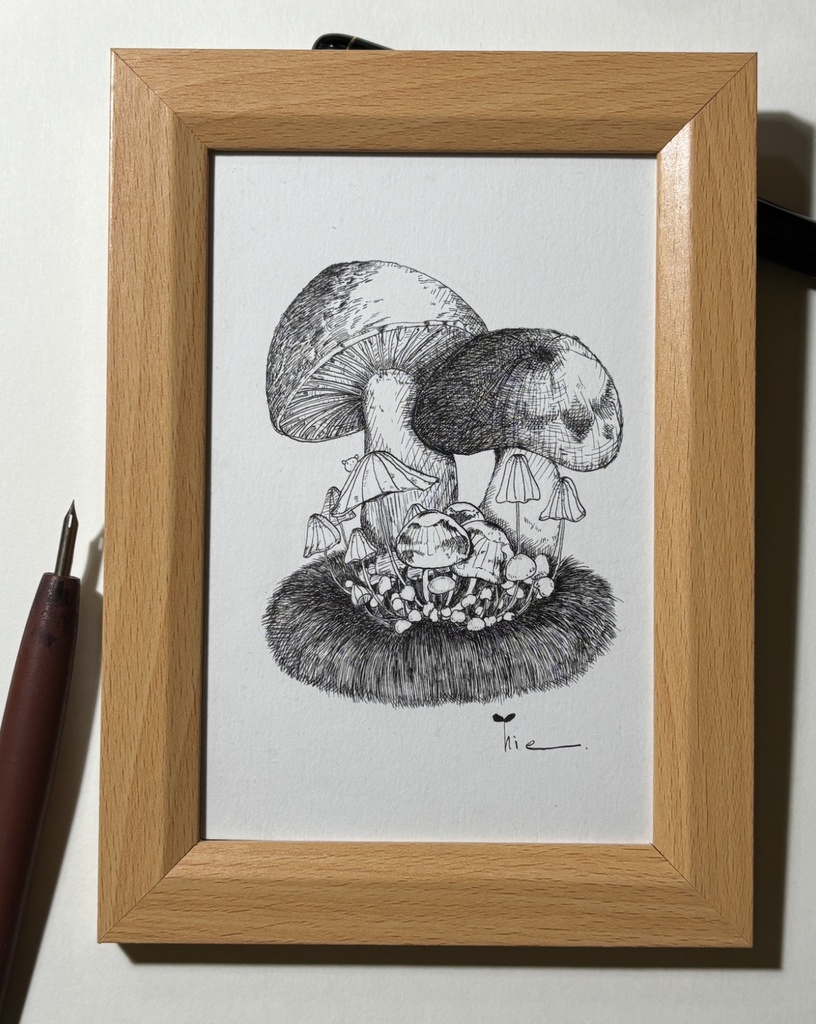 【ペン画】きのこ_02【ハガキサイズ】