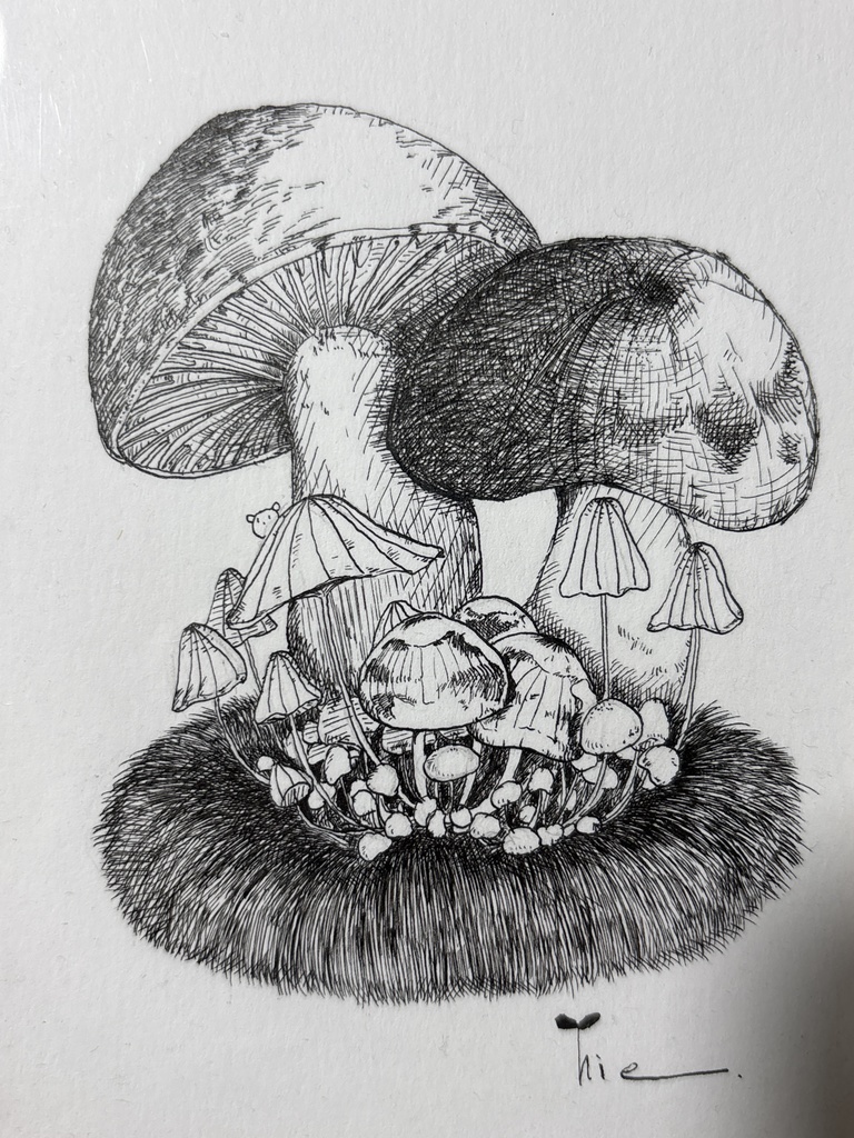 【ペン画】きのこ_02【ハガキサイズ】