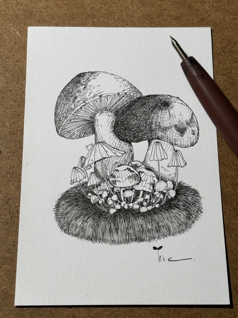 【ペン画】きのこ_02【ハガキサイズ】