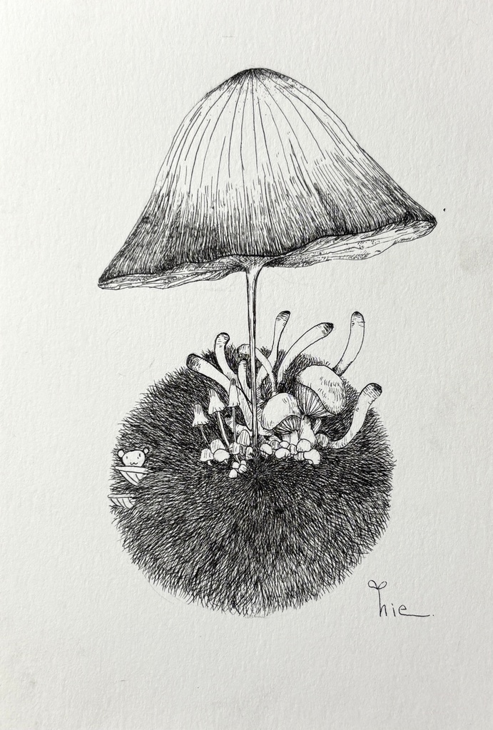 【ペン画】きのこ_04【ハガキサイズ】