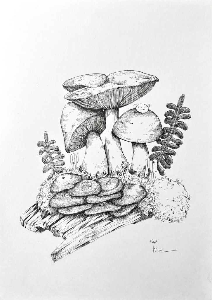 【ペン画】きのこ_06【A5サイズ】