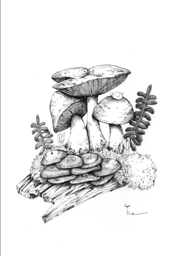 【ペン画・画集】Sprout & Mushrooms【ZINE・PDF】