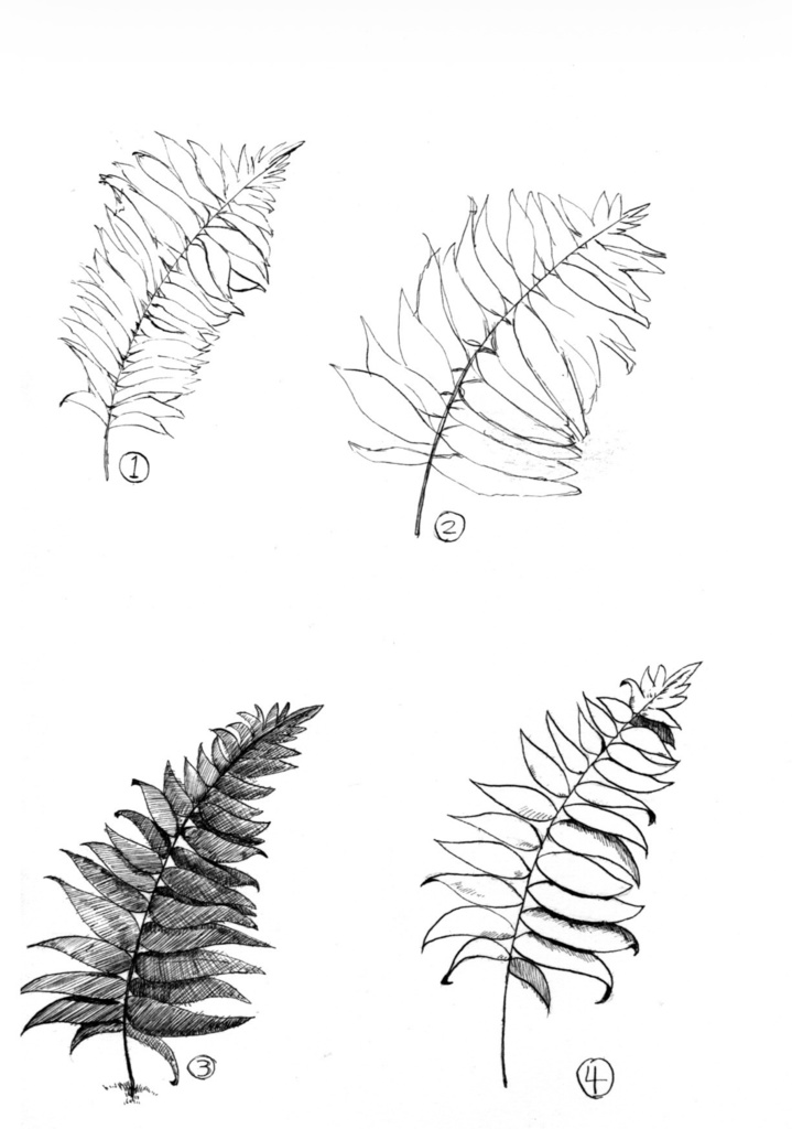 【ZINE・PDF】ひえの脳内-線の記憶-【ペン画のログ】