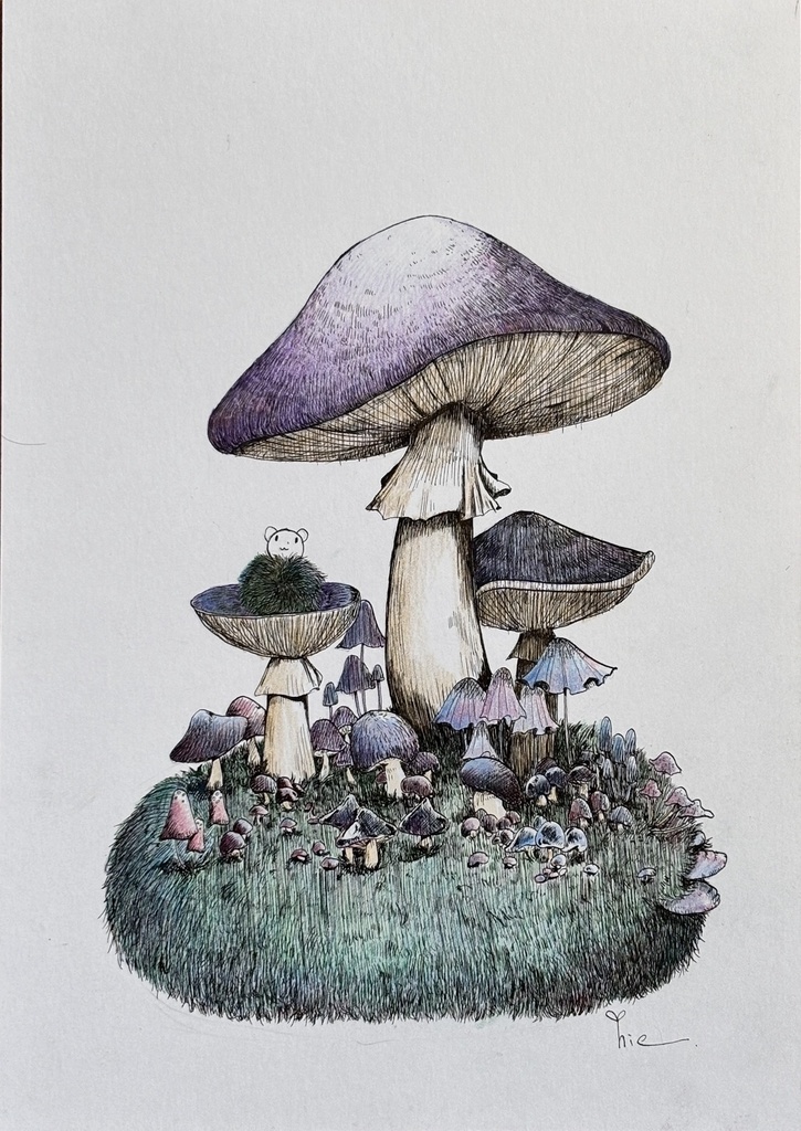 【額装】きのこの湿度【A5サイズ】