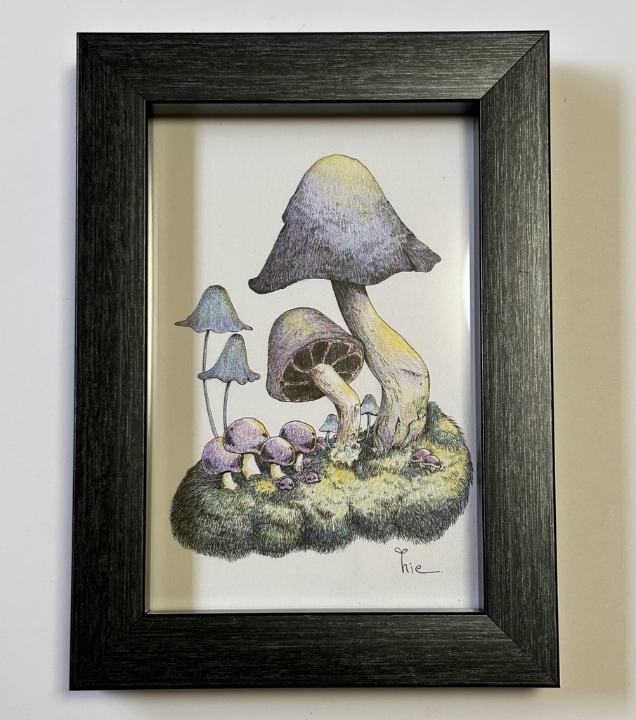 【額装原画】森のきのこ#01【ハガキサイズ】