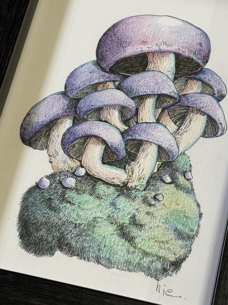 【額装原画】森のきのこ#02【ハガキサイズ】