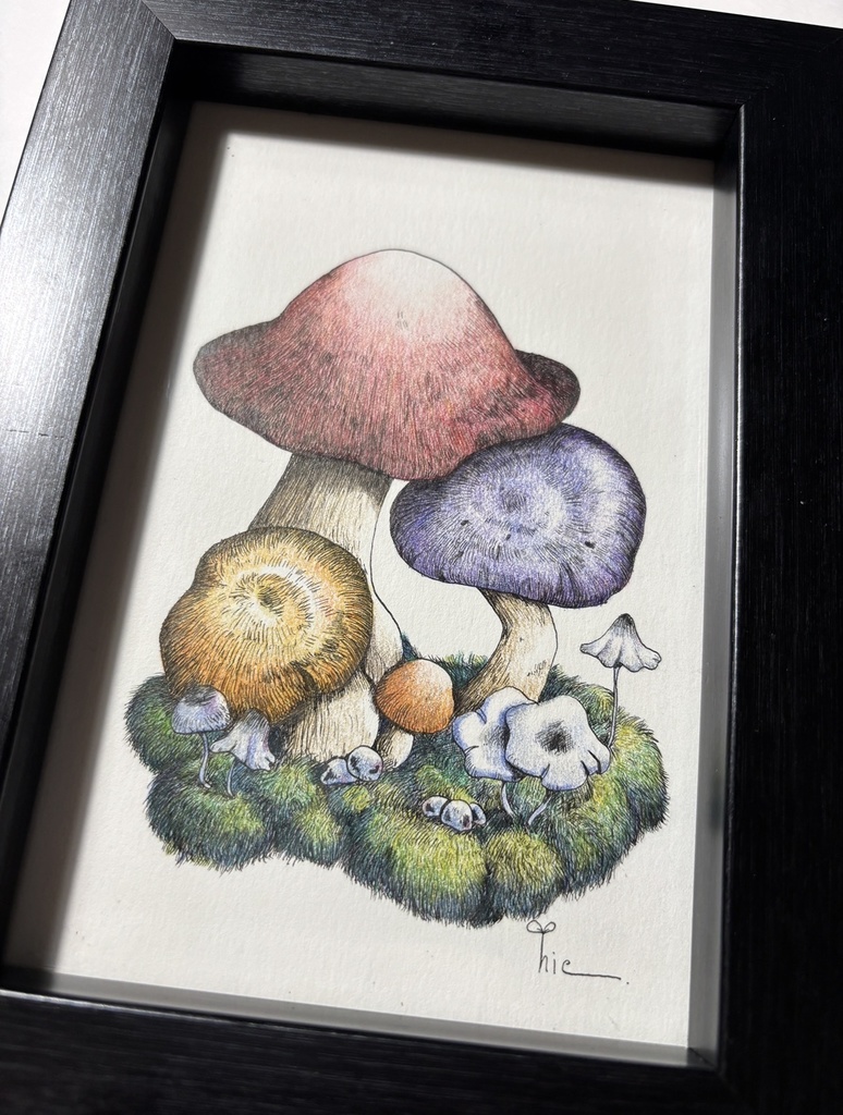 【額装原画】森のきのこ#04【ハガキサイズ】